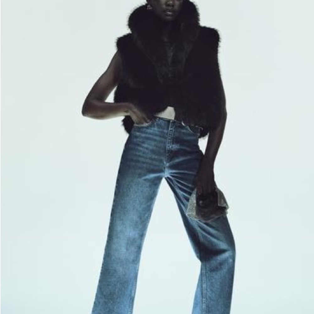 Zara Black Faux Fur Cropped Vest